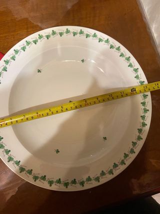 Set 6 piatti piani e 1 grande Vienna