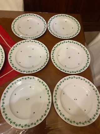 Set 6 piatti piani e 1 grande Vienna