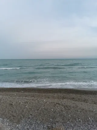 Habitación en  Alquiler