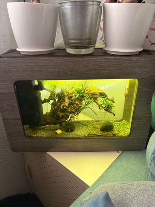 Acuario Aqualantis 20L Compacto