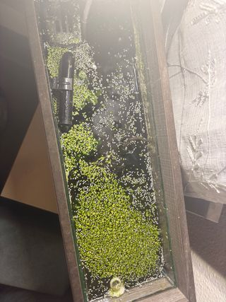 Acuario Aqualantis 20L Compacto