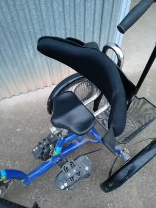 Triciclo Terapéutico Momo 16