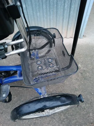 Triciclo Terapéutico Momo 16