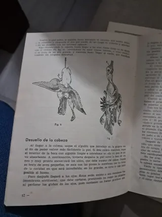 Curso Taxidermia Instituto La Jungla 1954