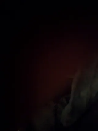 Abrigo Extreme Negro Talla L