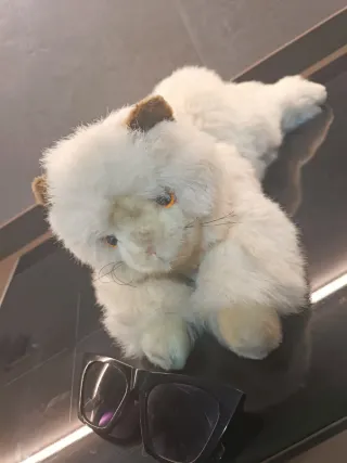 Peluche assortiti dai €10 ai €20 l'uno