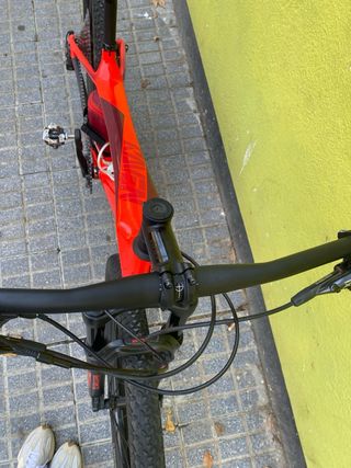 Bicicleta montaña Focus Raven