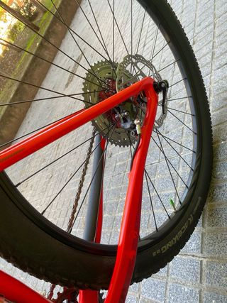 Bicicleta montaña Focus Raven