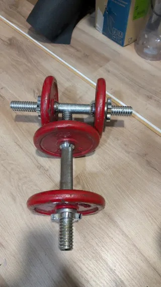 2 Mancuernas Salter 3kg Rojas