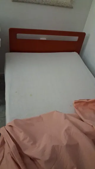 Cama geriátrica con motor