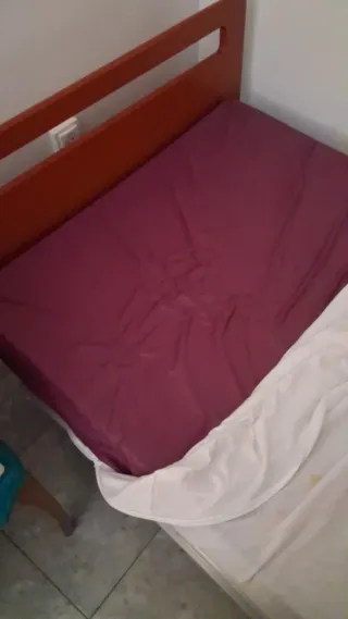 Cama geriátrica con motor