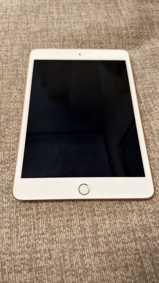 iPad mini 5ª Gener Apple Dorado/Blanco 64GB