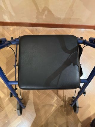 Silla paseo persona mayo