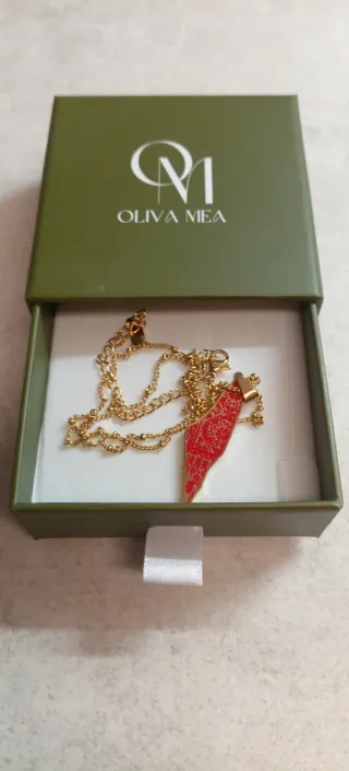 Colgante Mapa Palestina Cadena Dorada