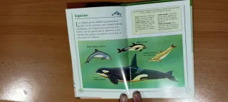 Libros de Pequeña Biblioteca.