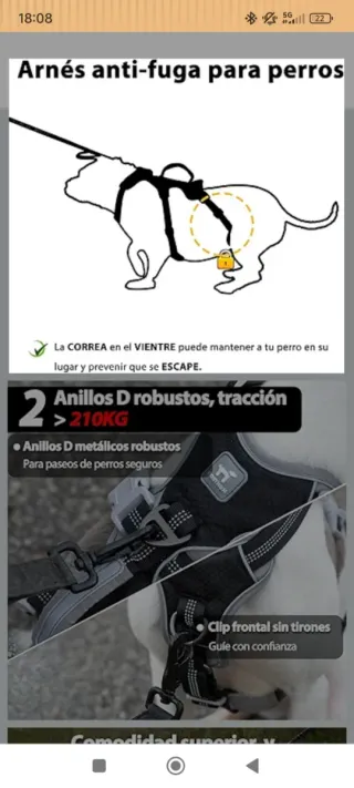Arnés para perro ajustable