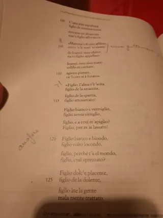 La scrittura e l'interpretazione, edizione blu, 1