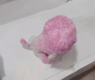 Peluche cane rosa occhi grandi