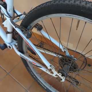 Bicicleta blanca