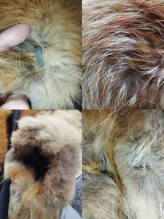 ABRIGO ZORRO M ★★★★★