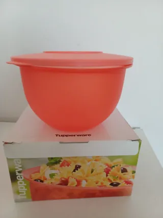 Ciotola Tupperware 2.5 L Arancione