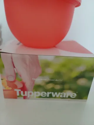 Ciotola Tupperware 2.5 L Arancione
