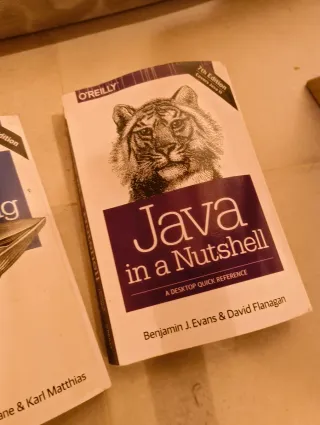 Paquete libros de programación