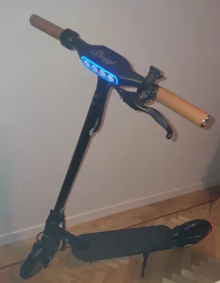 Patin SmartGyro baggio 10. Eléctrico