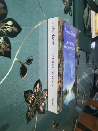 La Cité des dieux sauvages roman