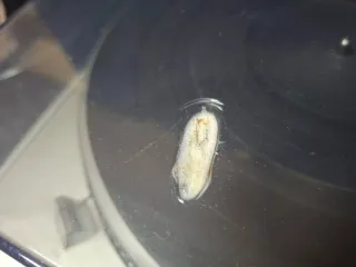 Tocadiscos Technics SL-D3 Direct Drive