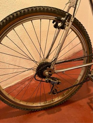 Bicicleta de montaña plateada