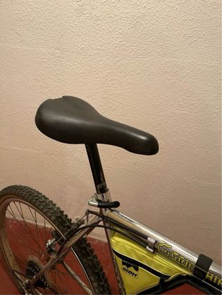 Bicicleta de montaña plateada