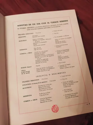 Recetario Turmix Berrens