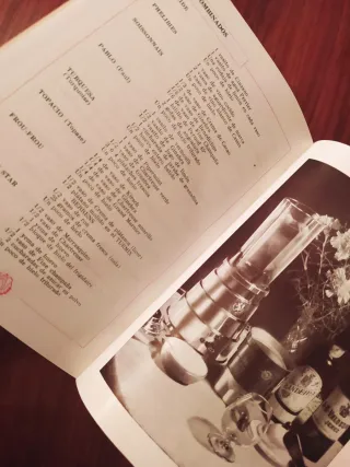 Recetario Turmix Berrens