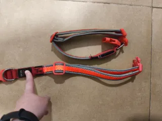 Collares para perro ajustable de luces