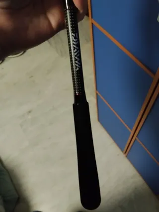 Caña mas carrete daiwa a estrenar