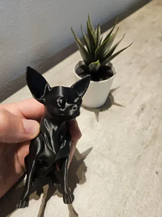Statua Chihuahua Nera
