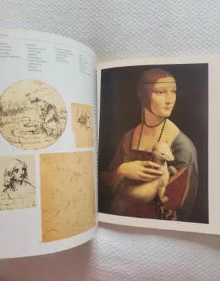 Leonardo: Arte E Scienza