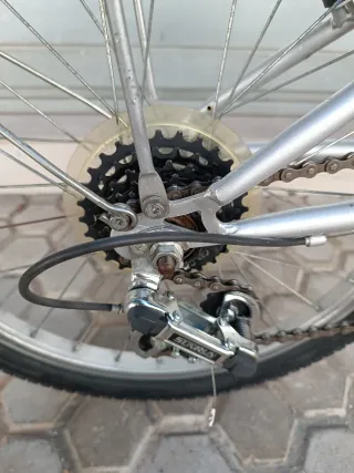 Bicicleta plegable 20 pulgadas gris