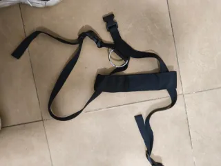 Arnés de seguridad para coche de perro