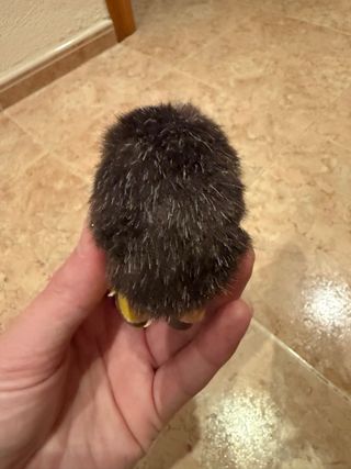 Muñeco Erizo Sylvanian Families