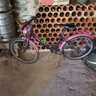 Bicicleta Morada Niña