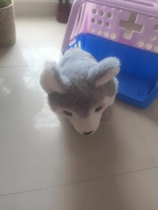 Peluche Perro Transportín