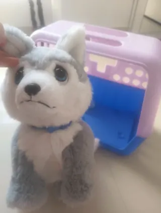 Peluche Perro Transportín