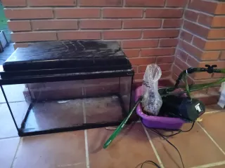 Acuario 50L con filtro eheim