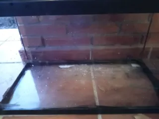 Acuario 50L con filtro eheim