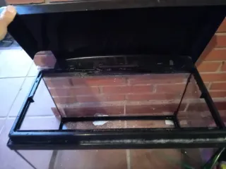 Acuario 50L con filtro eheim