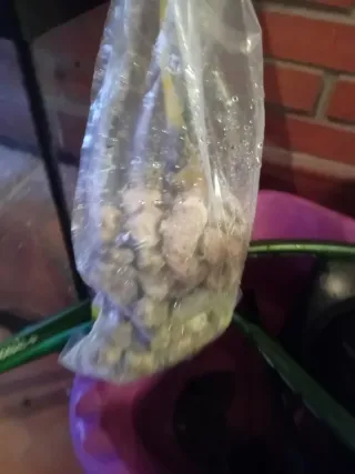 Acuario 50L con filtro eheim