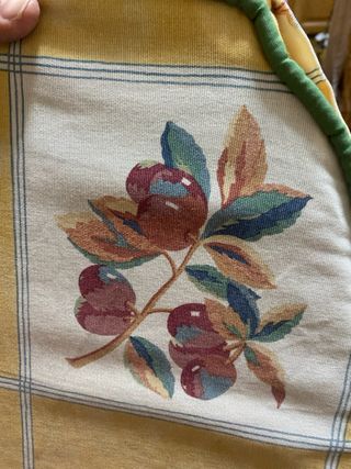 Cojines de Silla con Flores y Frutas