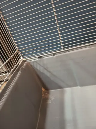 Jaula grande para hámster o jerbos